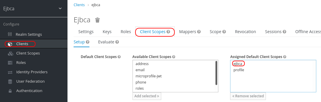 imágenes/descargar/archivos adjuntos/143732790/keycloak_add_to_client_scope.png