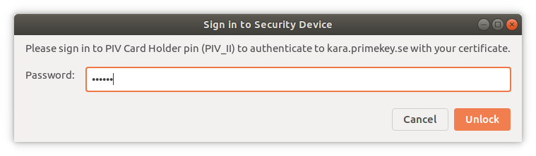 imágenes/descargar/archivos adjuntos/93588647/chrome-piv-login.png
